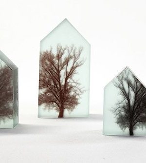 07.Marlene Abela.Glass House Trees