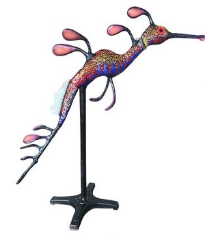 19.Janie Fearon.Weedy Sea Dragon