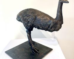 65.Simon Norman.Dark Emu