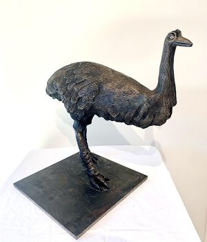 65.Simon Norman.Dark Emu