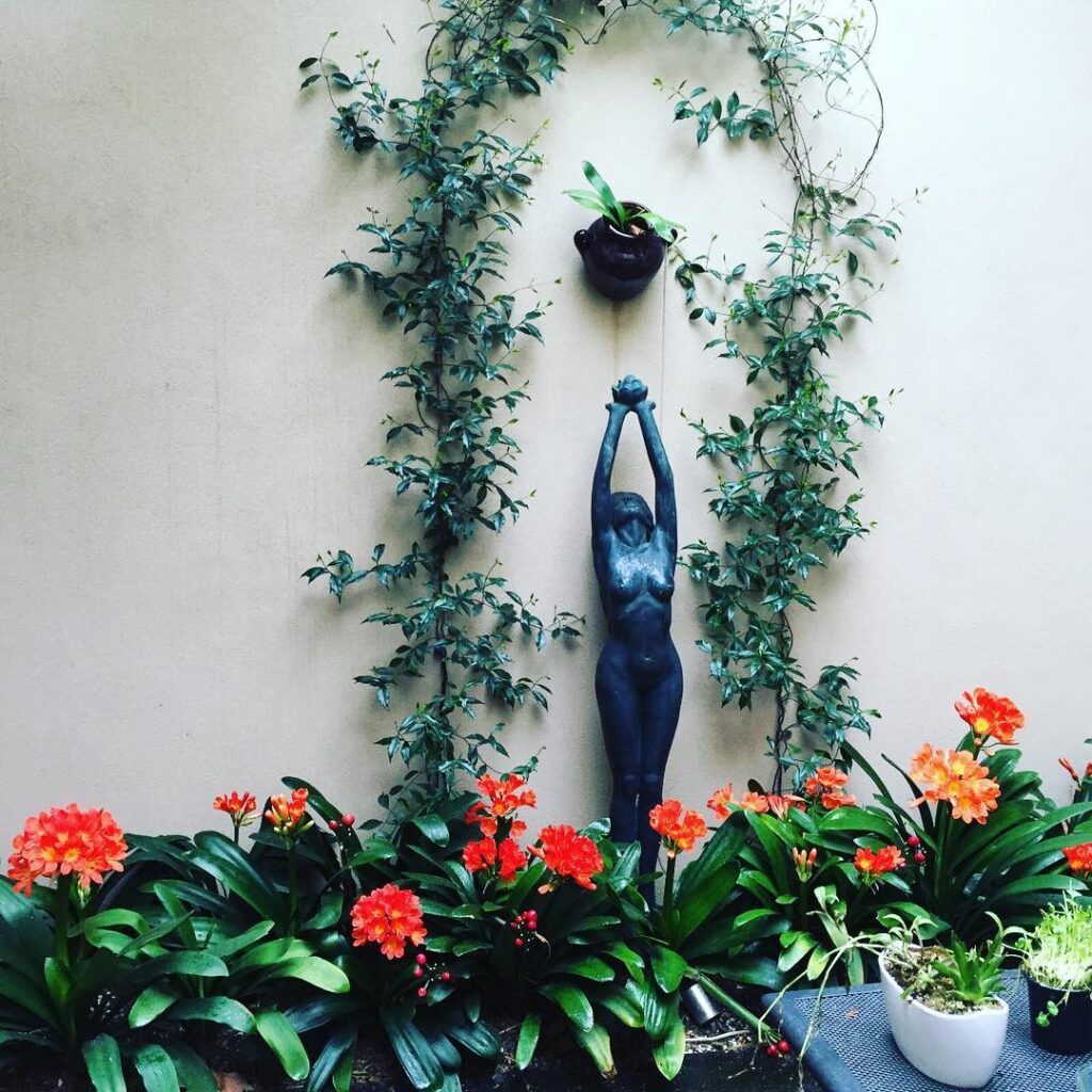 Mind Body Solutions Toorak