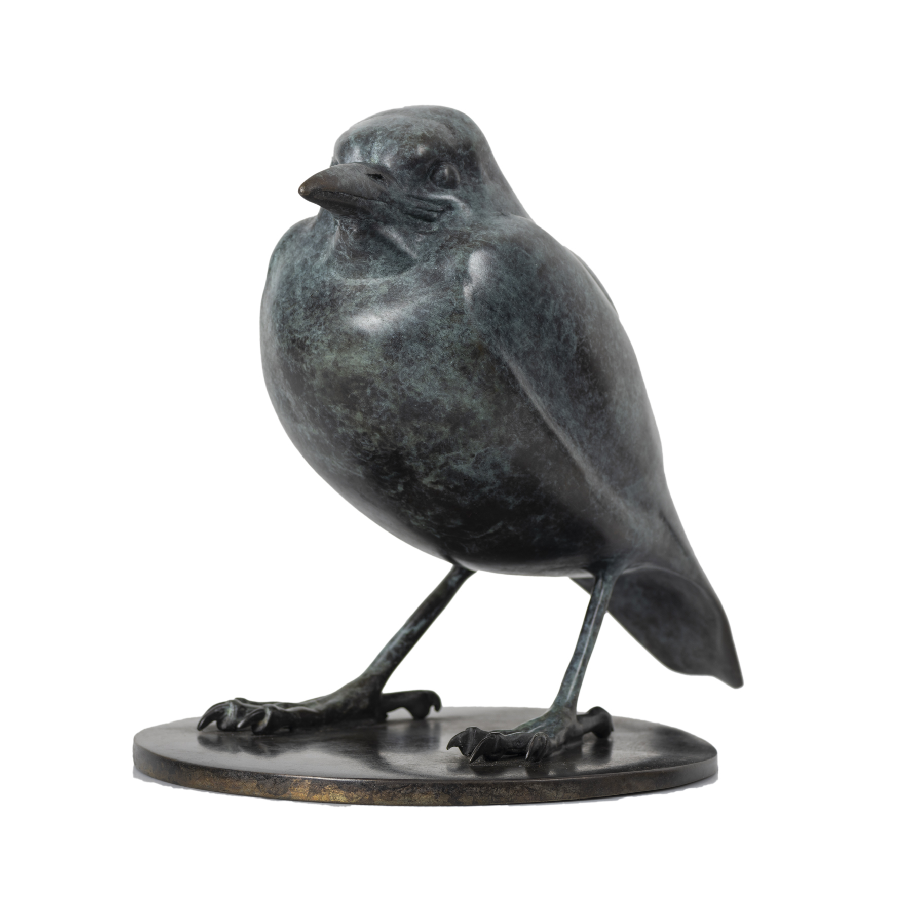 Baby Magpie – Lucy McEachern 2021