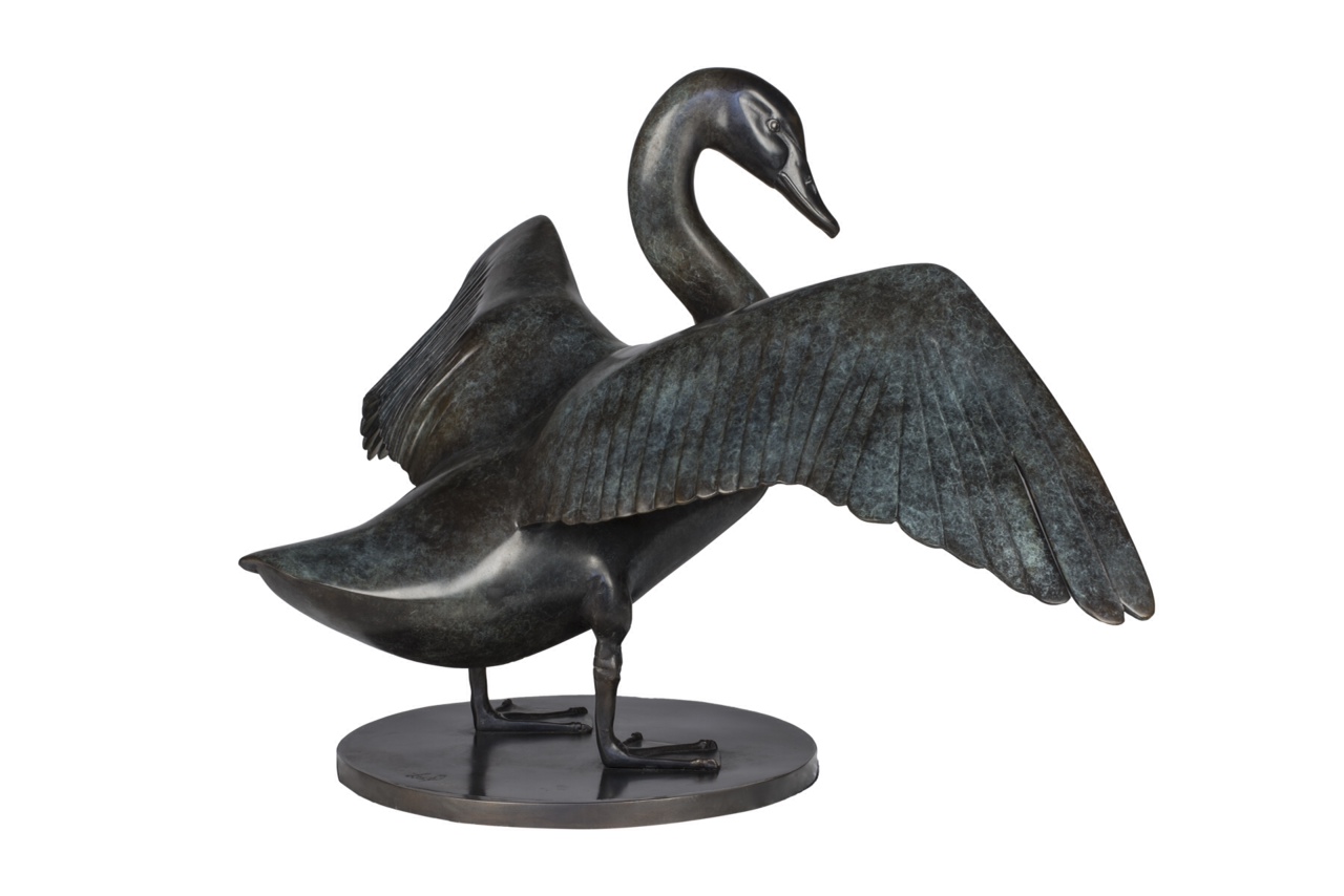 Australian Black Swan – Lucy McEachern 2017